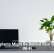 Houseplants Might Be Behind Your Sluggish Wi-Fi